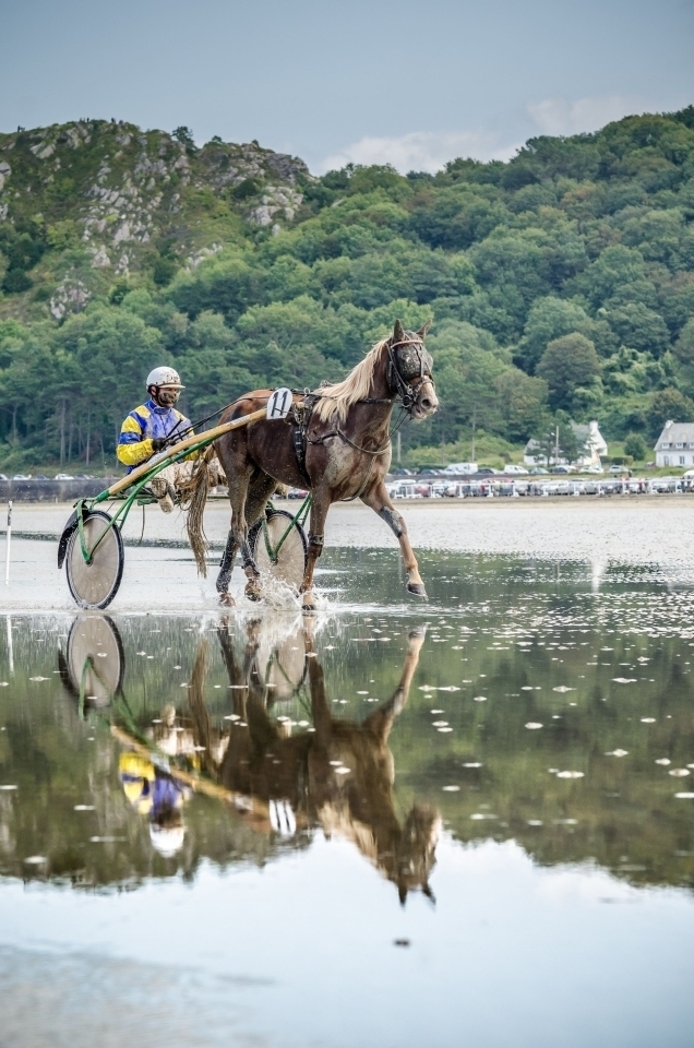 Courses hippiques de Plestin 